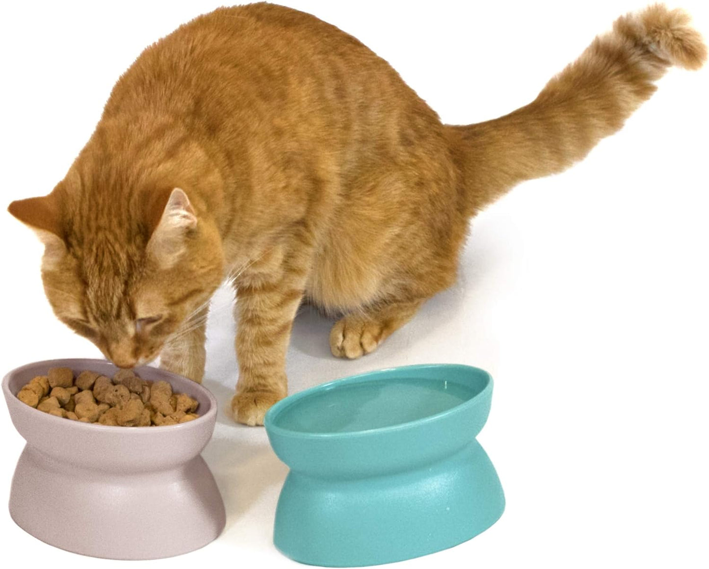 Kitty City Raised Cat Food Bowl Collection/Stress Free Pet Feeder and Waterer and Slow Feed Bowls