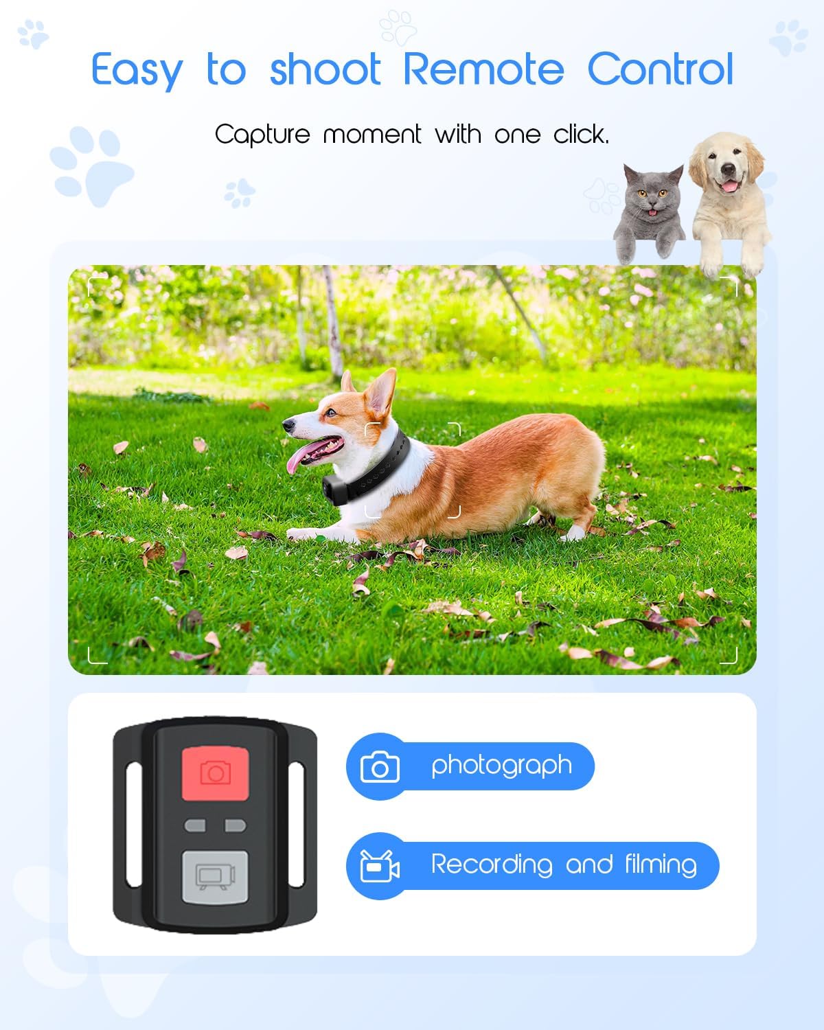 4K Cat Collar Camera, HD WiFi Pet Camera with 64GB SD Card, Mini Action Camera for Video Records Dog Collar Camera for Pet Supplies Camera for Cats Dogs Outdoor/Inoor Puppy Supplies Birthday