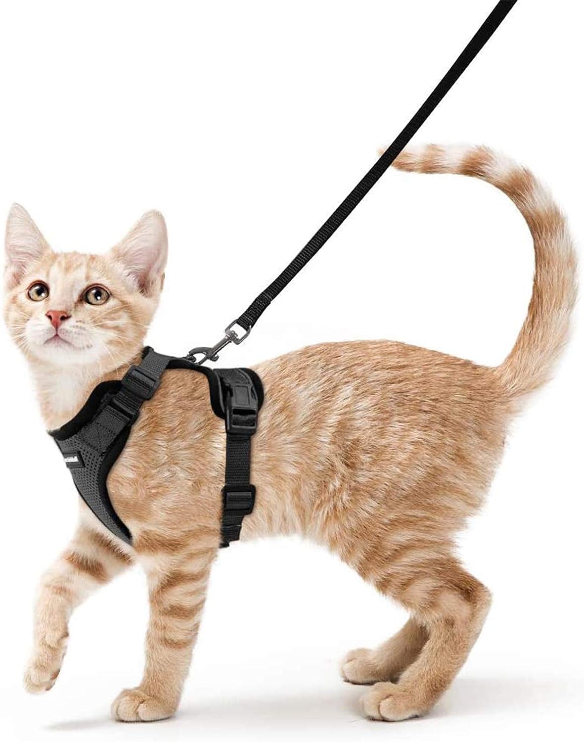 rabbitgoo Cat Harness and Leash for Walking, Escape Proof Soft Adjustable Vest Harnesses for Cats, Easy Control Breathable Reflective Strips Jacket, Black