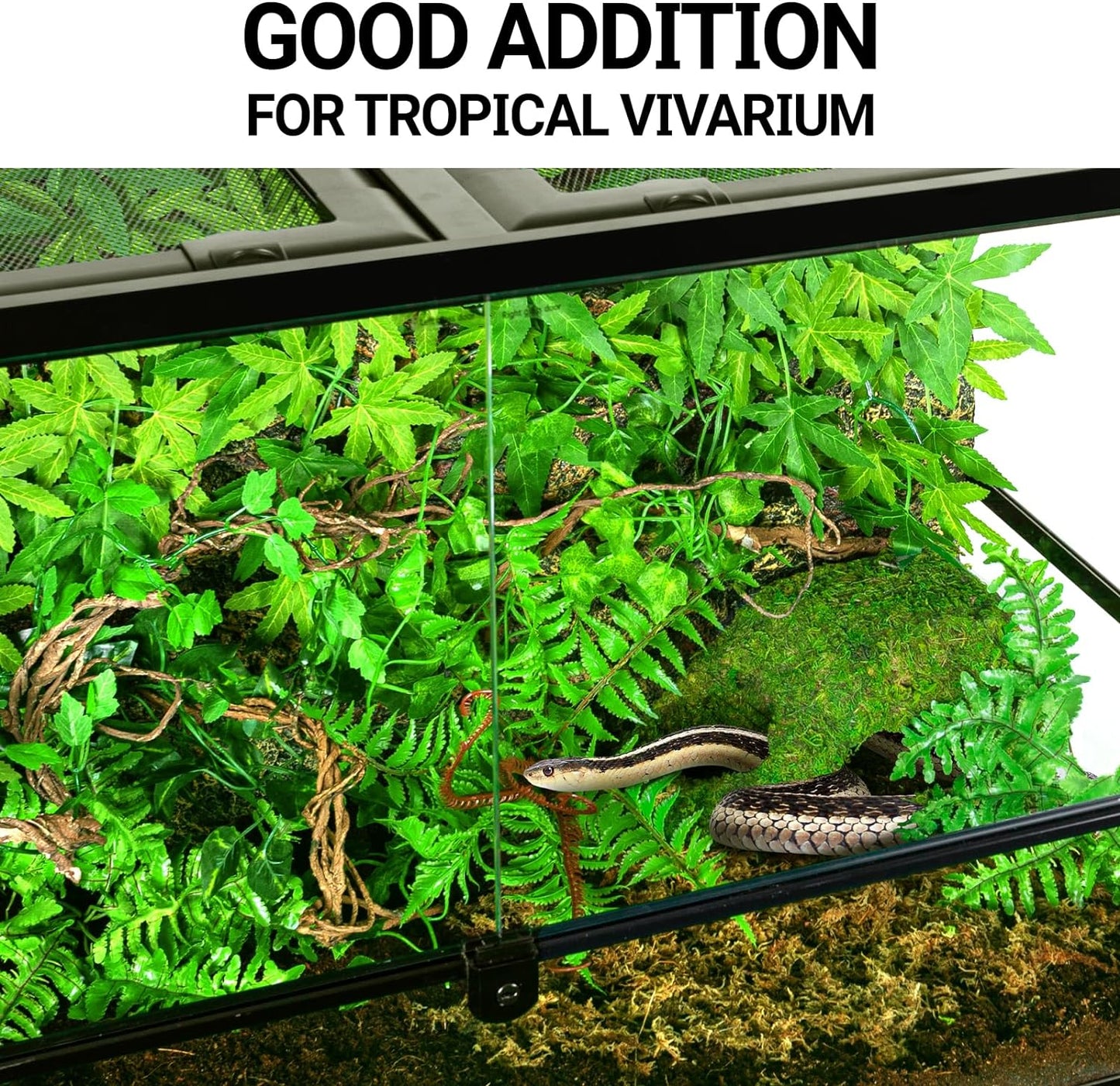 REPTI ZOO Reptile Mossy Hide Cave, 10" Humid Hideout for Leopard Gecko Ball Python Snake Lizard Hermit Crabs | Terrarium Tank Habitat Decor (10x5.5x4.5“)