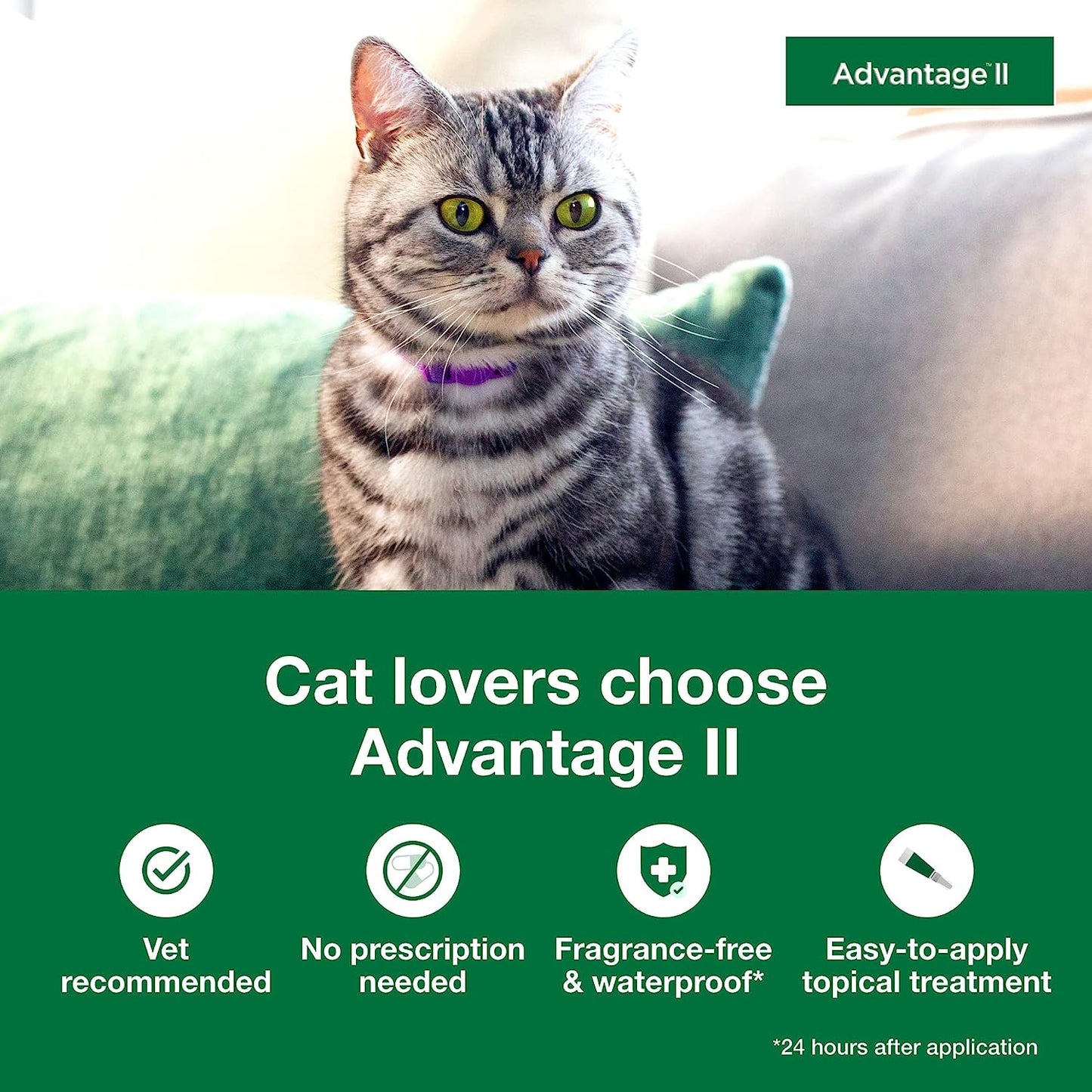 Advantage II Large Cat Vet-Recommended Flea Treatment & Prevention | Cats Over 9 lbs. | 6-Month Supply